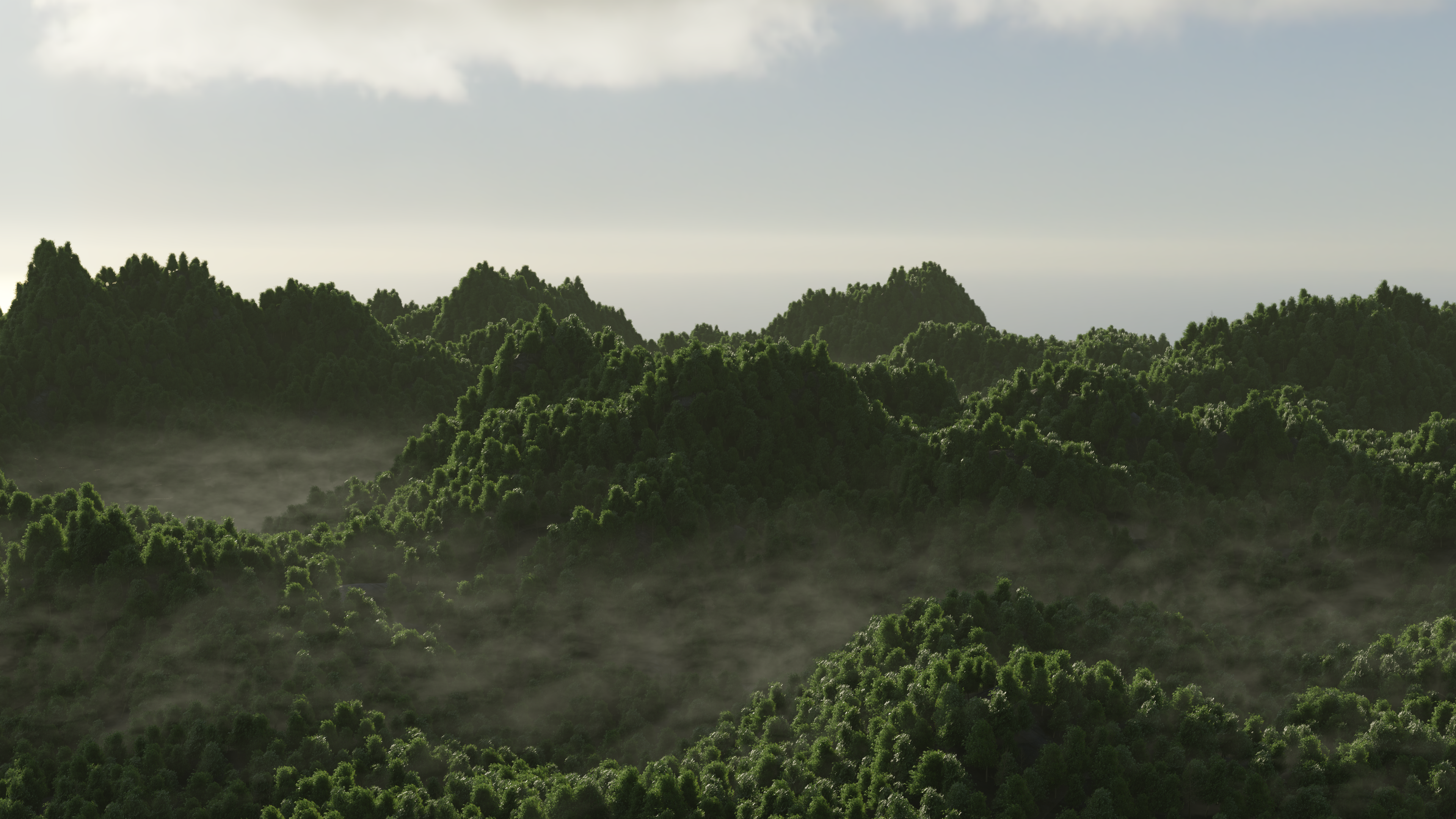 Procedural Forest
